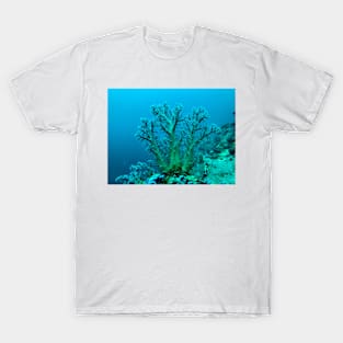 coral and coral reef T-Shirt